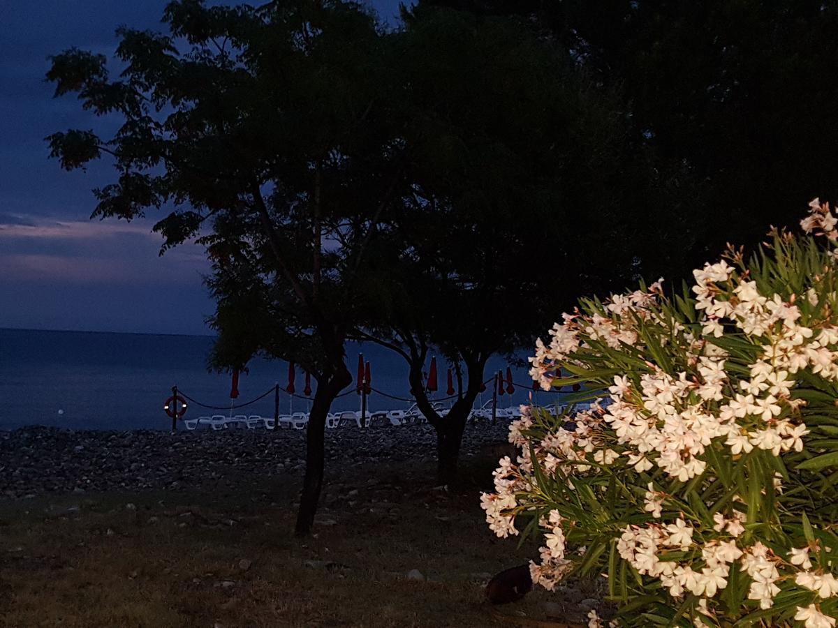 Bed And Breakfast Marilena Montegiordano Bagian luar foto